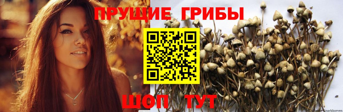 Псилоцибиновые грибы мухоморы Морозовск